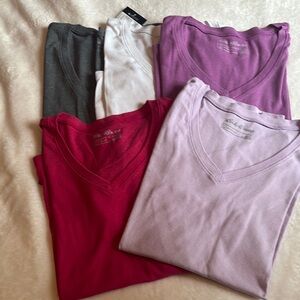 Eddie Bauer V-Neck T-Shirt Bundle in Assorted Colors